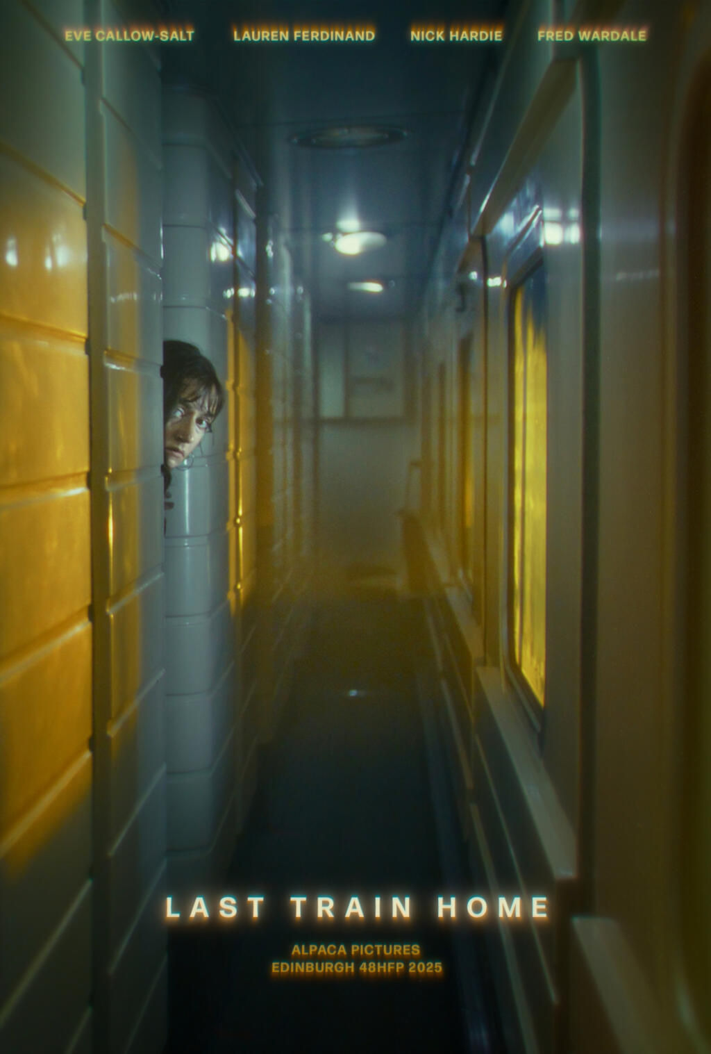 Filmposter for Last Train Home